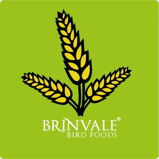 brinvale.com
